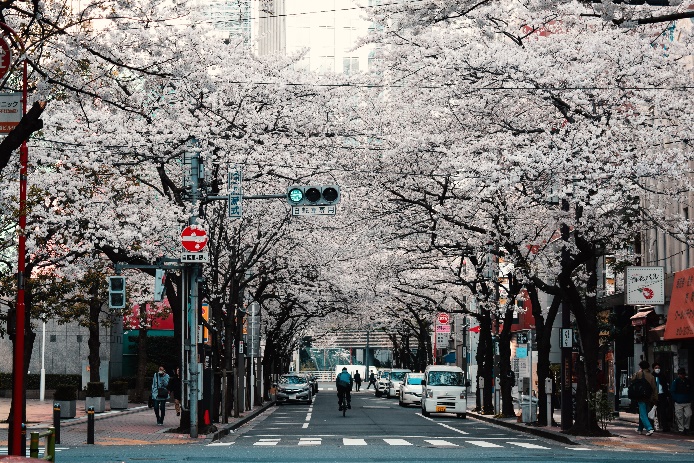 https://tech24online.com/wp-content/uploads/2019/07/word-image-3.jpeg